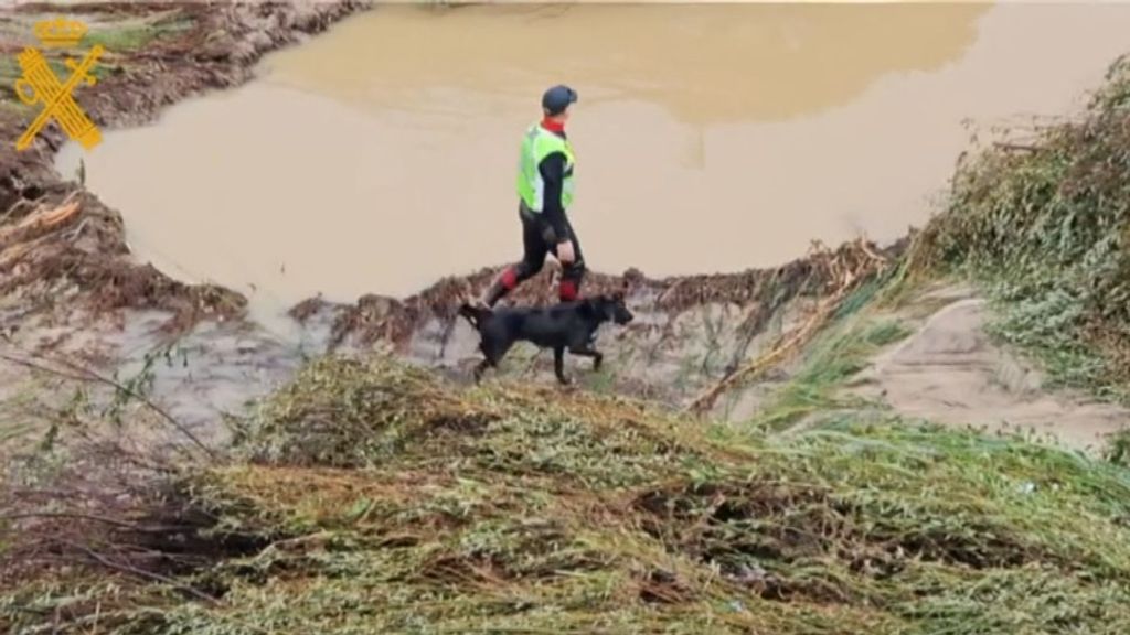 Se reanuda la búsqueda de los tres desaparecidos por la DANA en Madrid y Toledo con perros