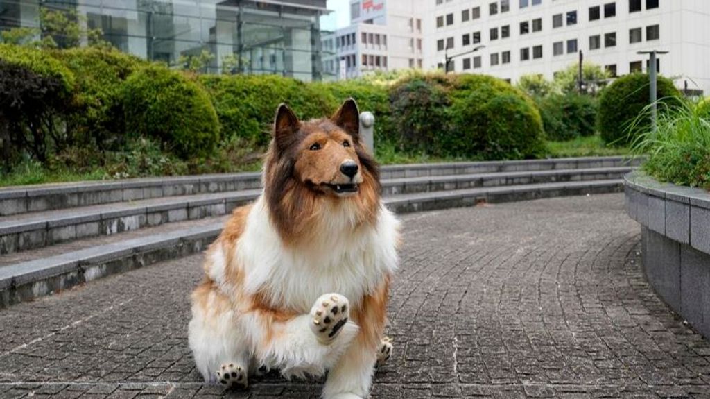 Toco el perro japonés