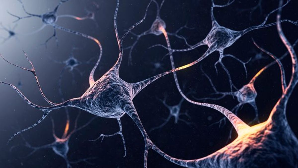 Descubren un nuevo tipo de célula cerebral clave para los avances en el Alzheimer y el Párkinson