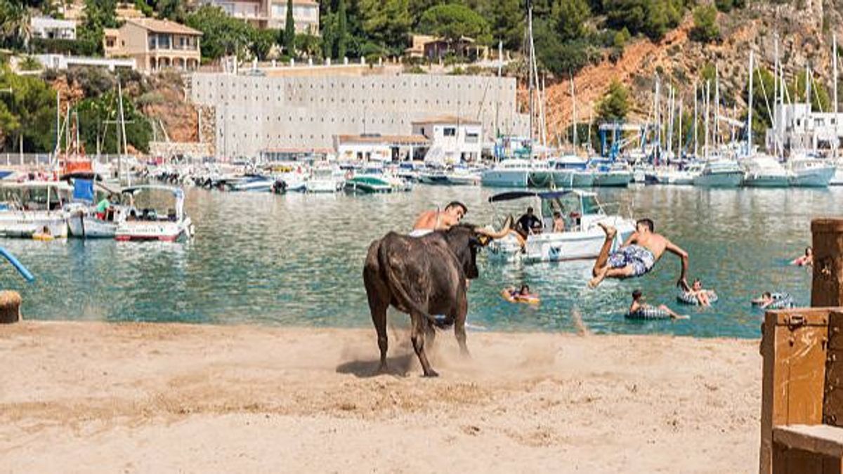 Pacma denuncia la presencia de menores en los 'bous a la mar' en Jávea, Alicante