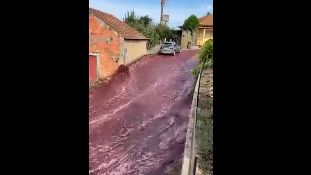 Dos millones de litros de vino tinto desbordan las calles de un pueblo en Portugal