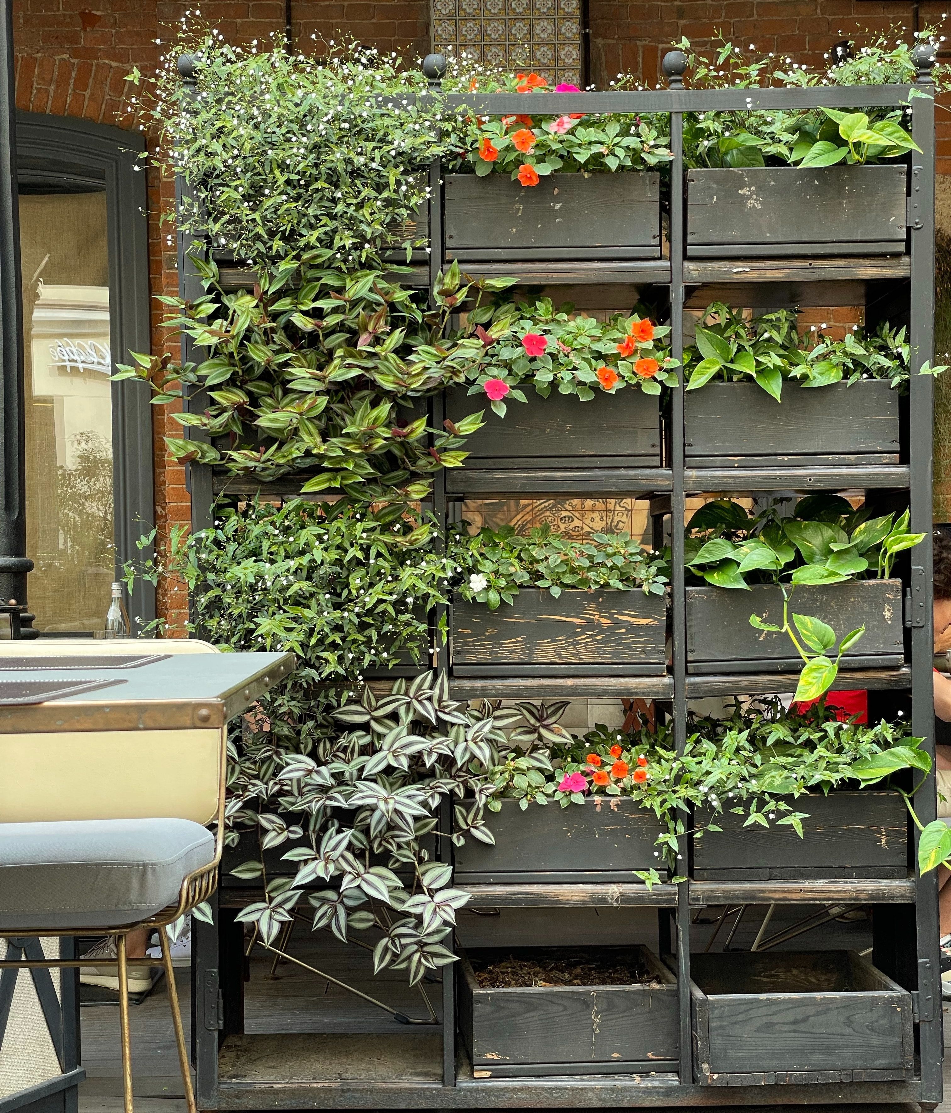 pexels anna bondarenko 8321139