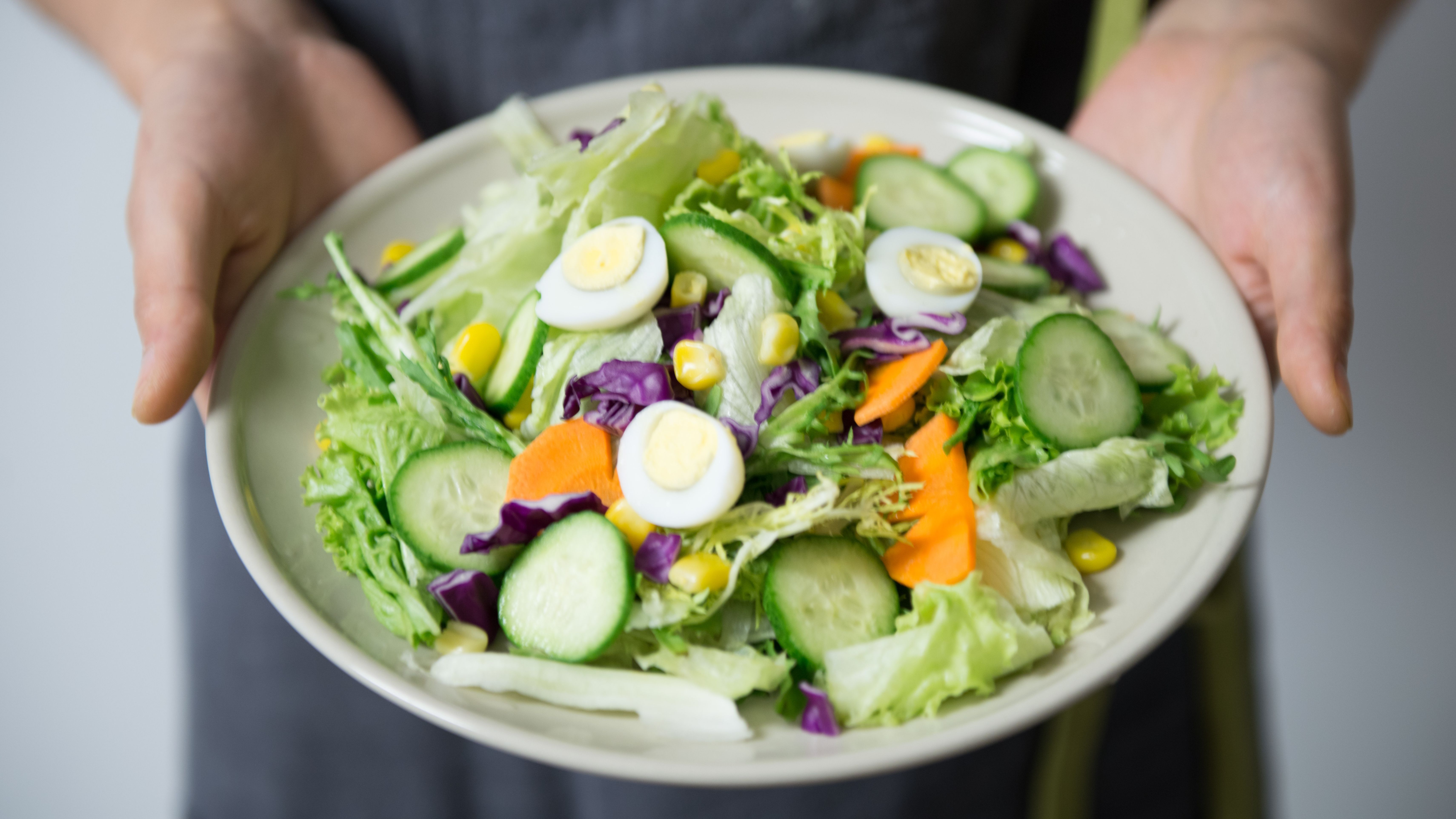 pexels cats coming 406152