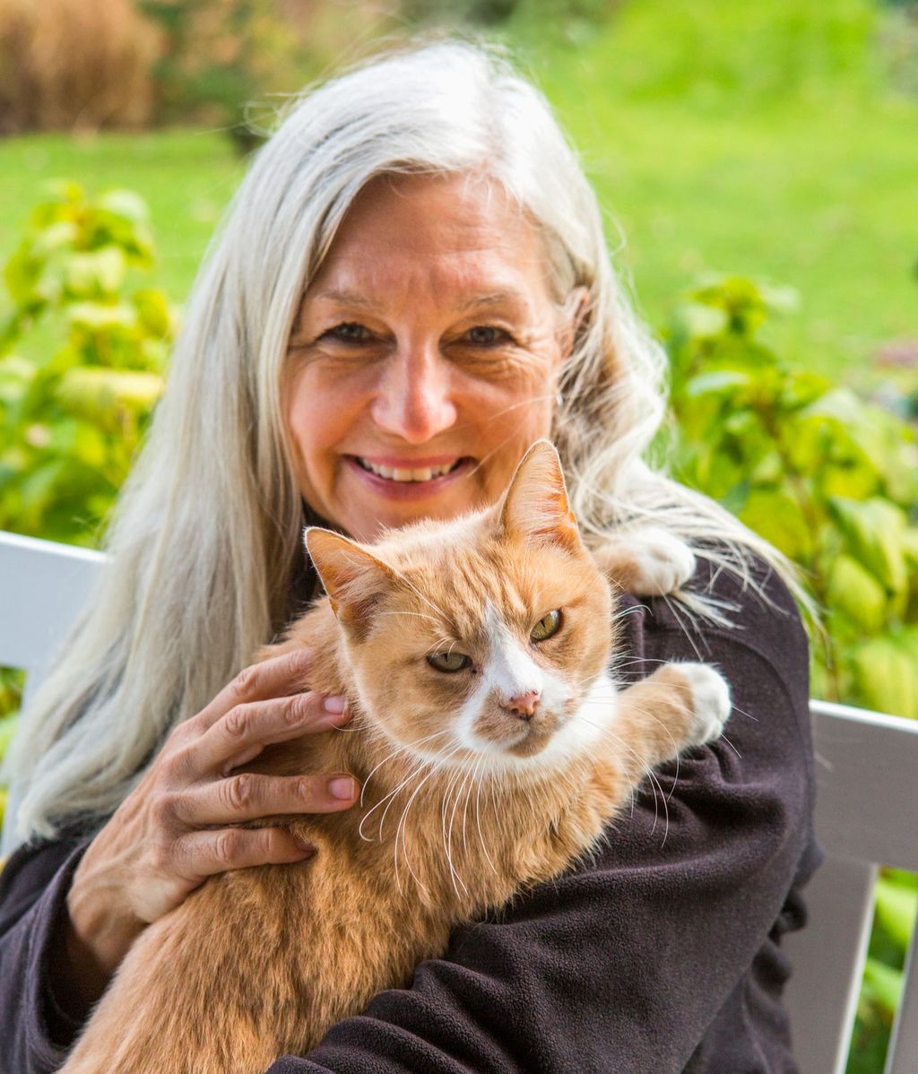 Un 45 % de españoles encuentra que el ronroneo de los gatos tiene un efecto 'relajante',s egún una encuesta.