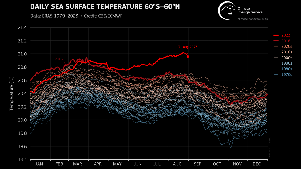 Temperatura océanos 31 agosto 2023