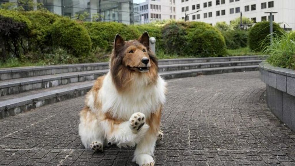 Toco, el youtuber japonés que se convirtió en perro