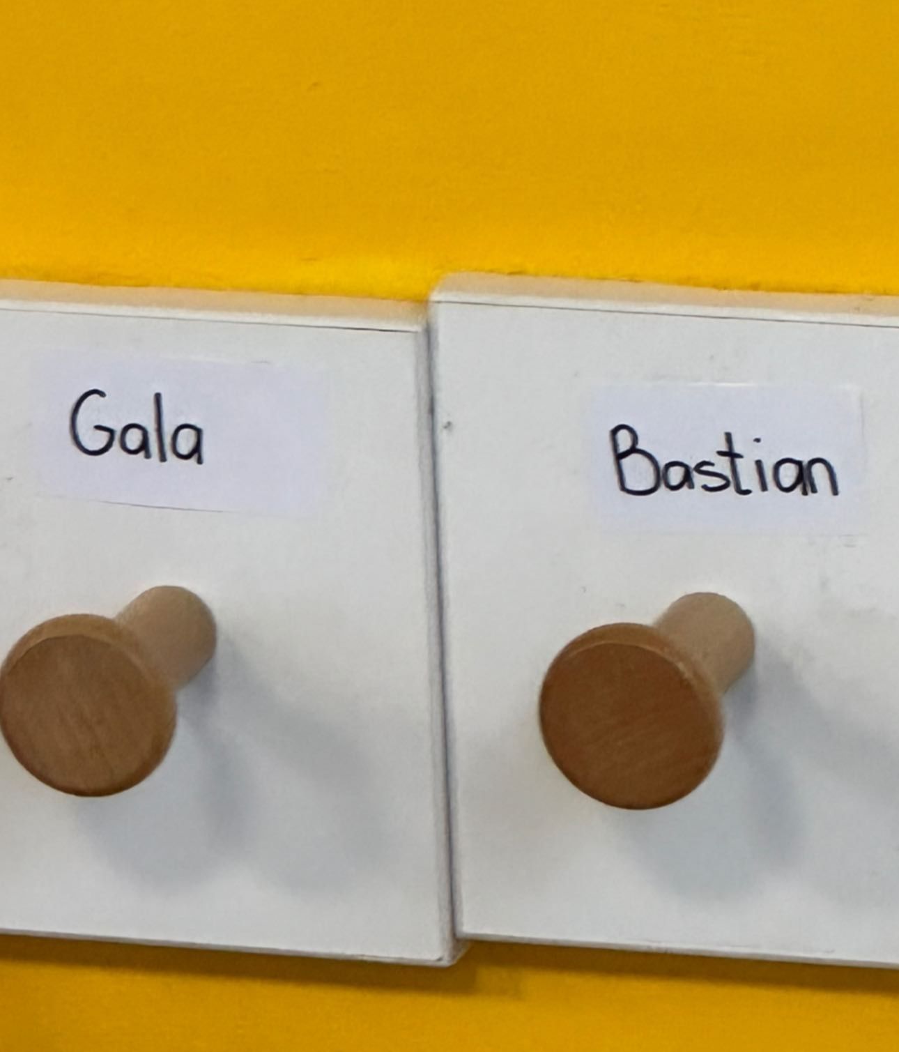 Gala y Bastian, hijo de Carla Barber, irán juntos al colegio