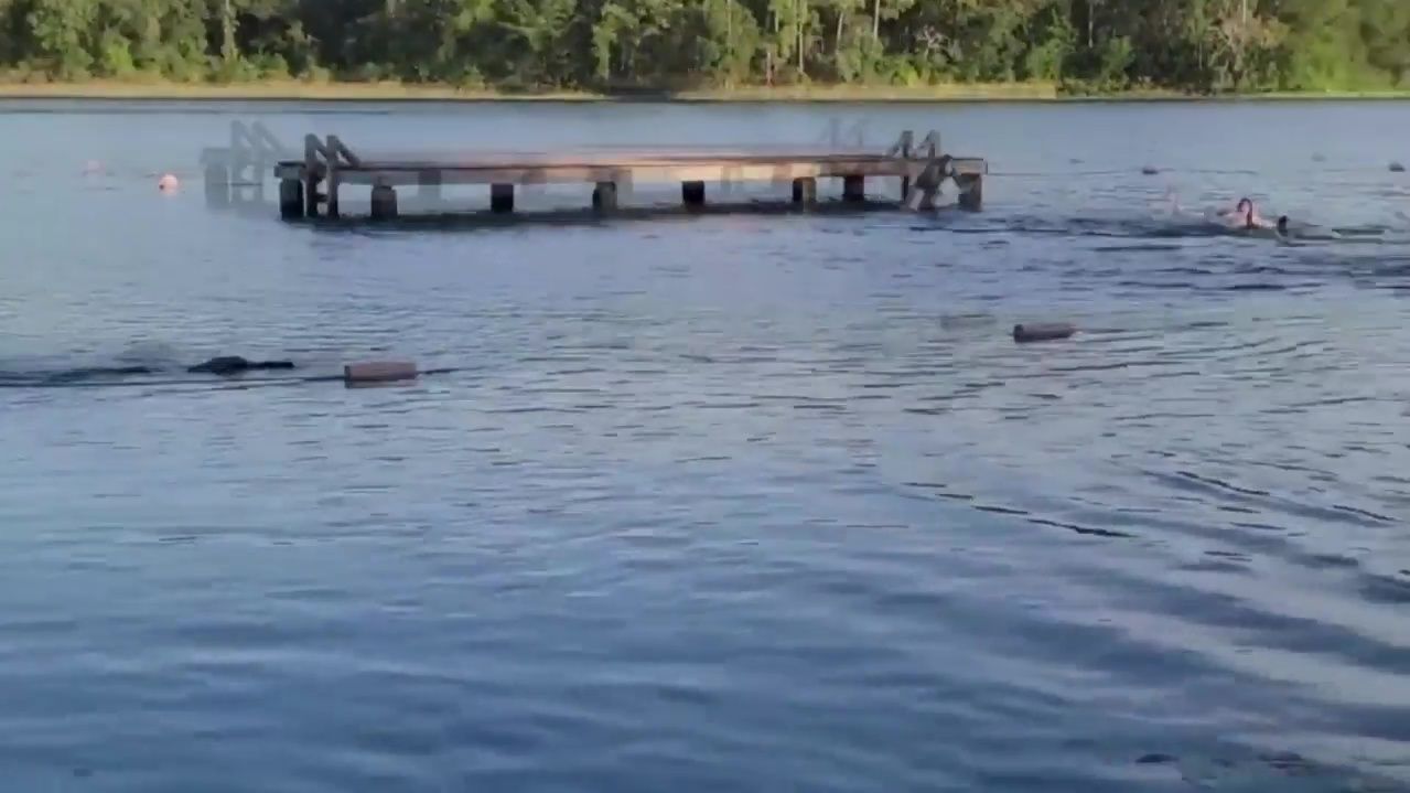 Un grupo de niñas que nadaba en un lago de Texas, Estados Unidos, atacadas por un aligátor