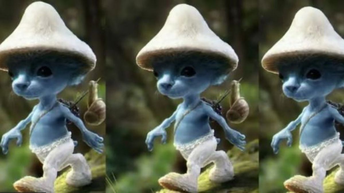 El gato pitufo azul vuelve a hacerse viral en TikTok: ¿cuál es el origen del meme?