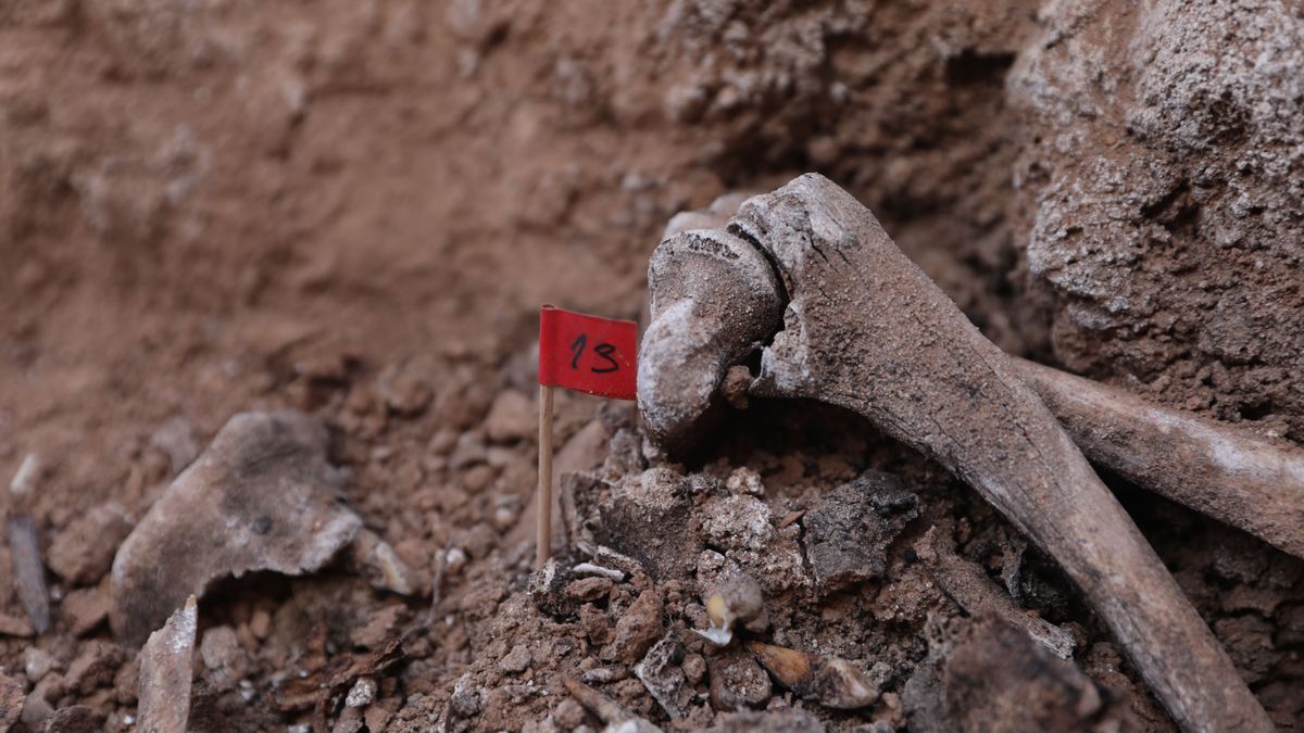 EuropaPress 4555379 varios huesos encontrados excavacion fosa guerra civil cementerio belchite EuropaPress 4555379 varios huesos encontrados excavacion fosa guerra civil cementerio belchite