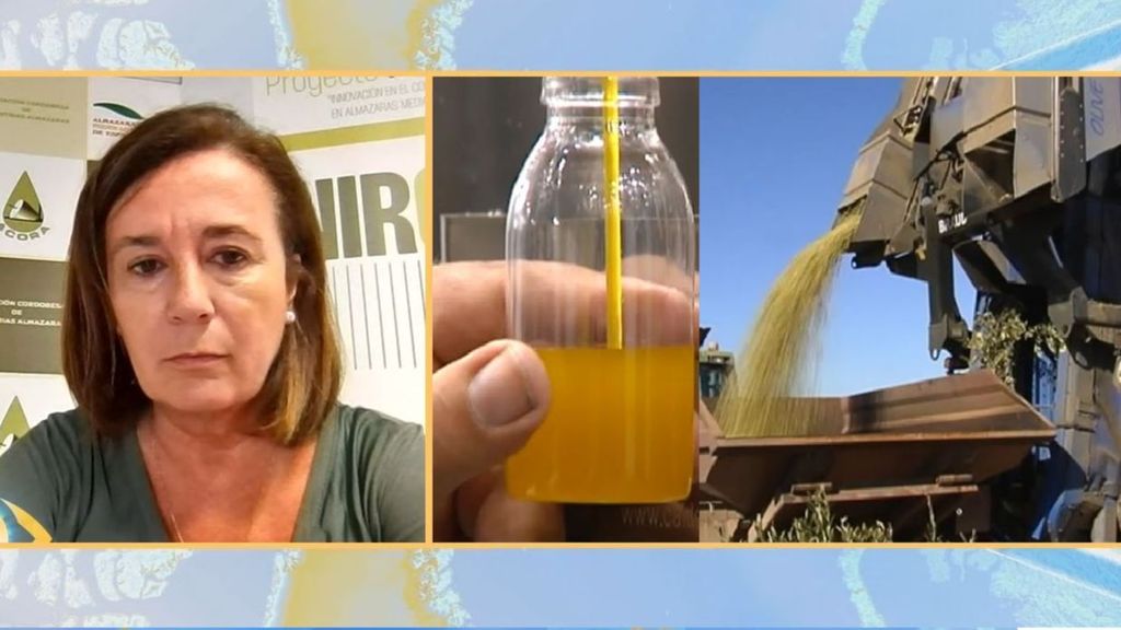 El robo de 82.000 litros de aceite de oliva pone contra las cuerdas a los agricultores