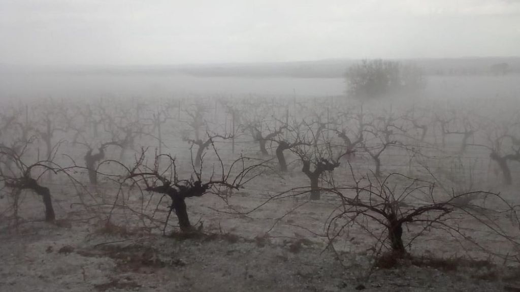 Daños por granizo en la Comunidad Valenciana