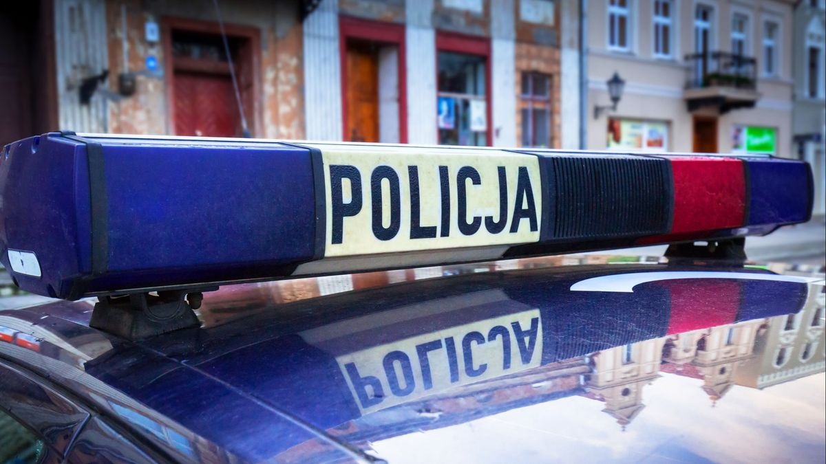 Un padre y su hija, acusados de asesinato: encontraron bebés muertos en su sótano en Polonia