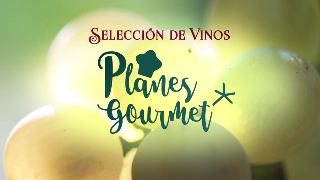 Selección vinos Planes Gourmet Bodegas Riojanas