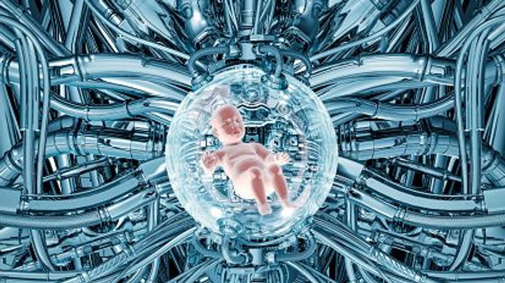 La FAD mantiene en suspenso los ensayos con uteros artificiales en humanos