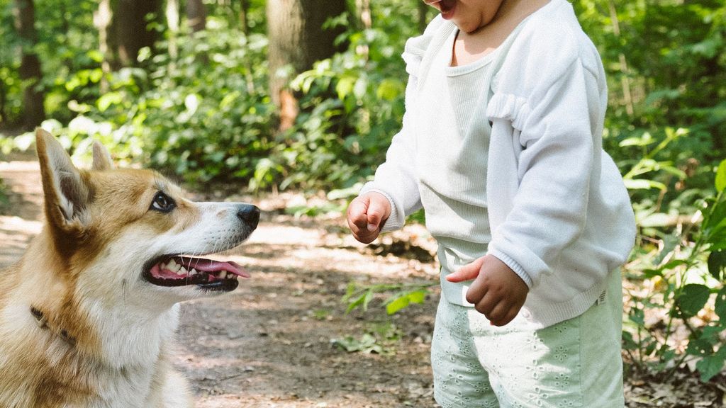 Desaparece una niña de dos años en EEUU y le encuentran dormido en el bosque, acurrucado con su perro