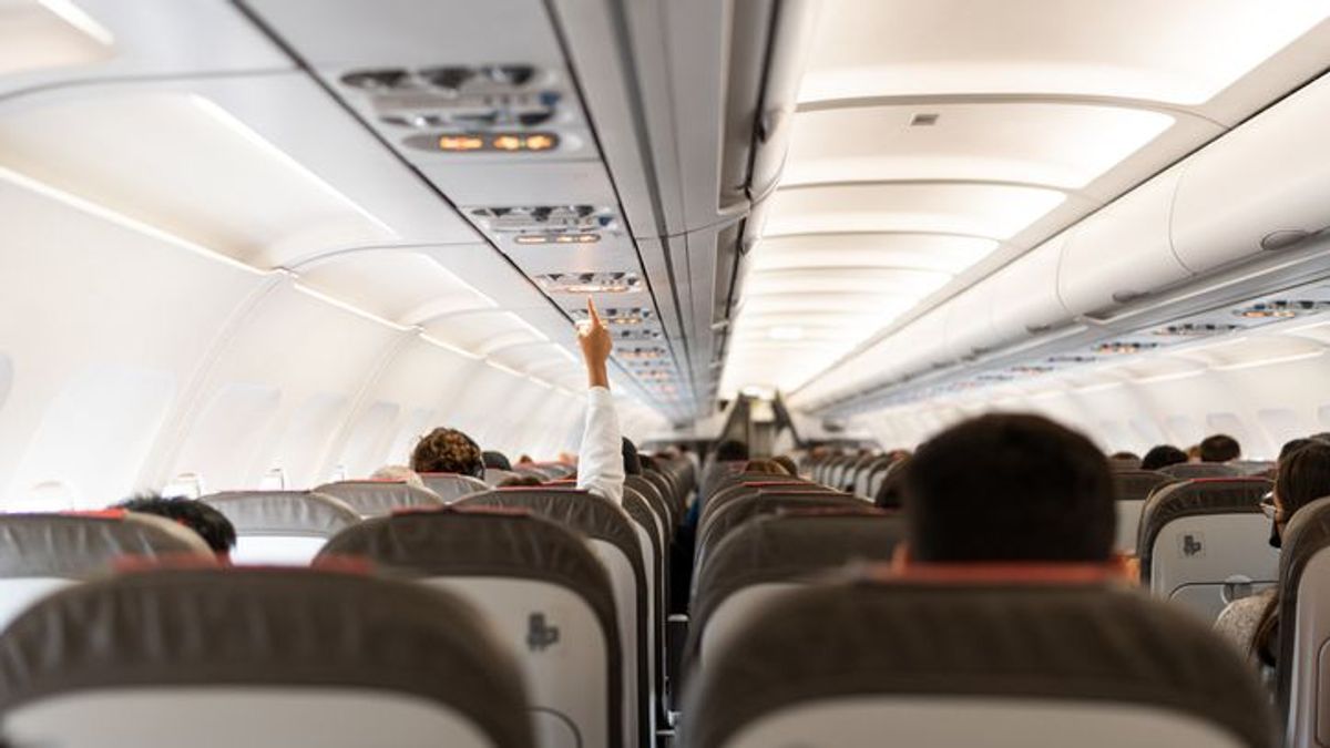 Una aerolínea indemniza con 1.300 euros a unos pasajeros por aguantar los gases de un perro en el vuelo