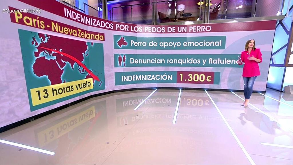 Les reembolsan los 1.300 euros del billete de avión tras sufrir los ronquidos y flatulencias de un perro