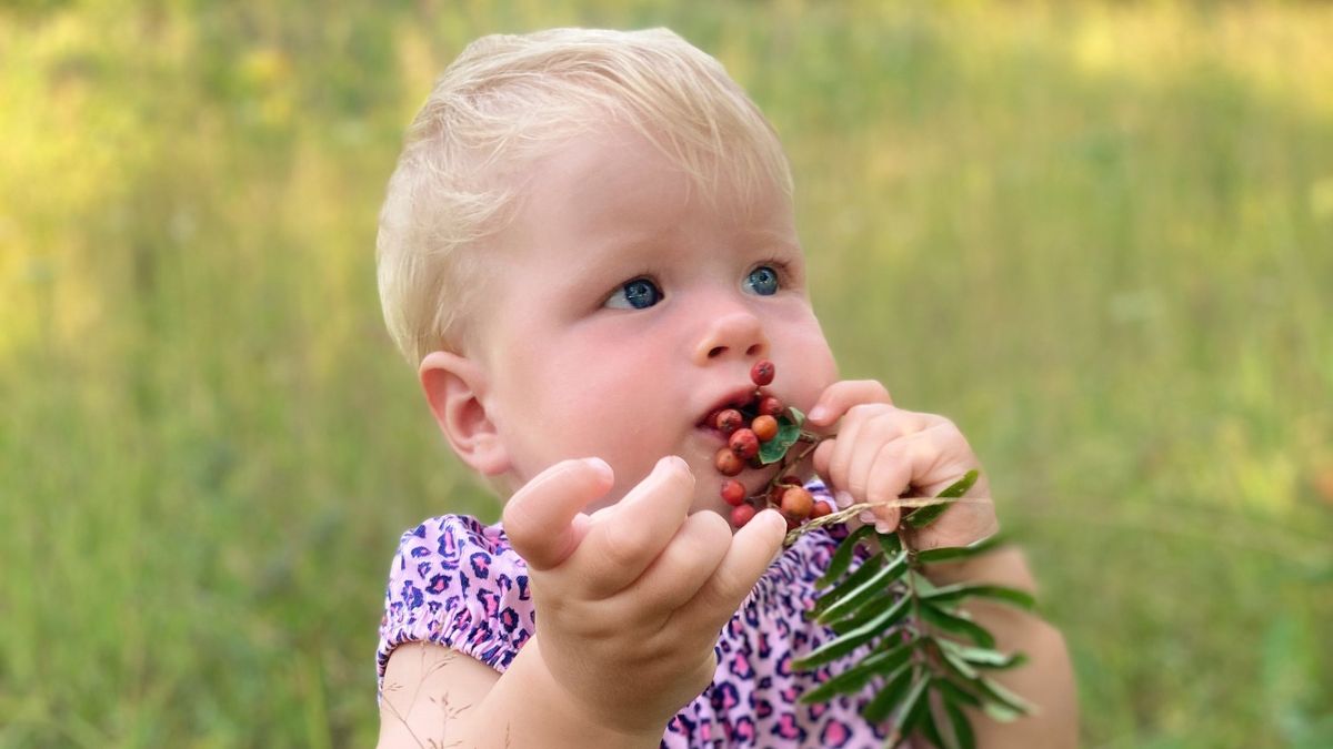 El Baby Led Weaning comienza a partir de los seis meses