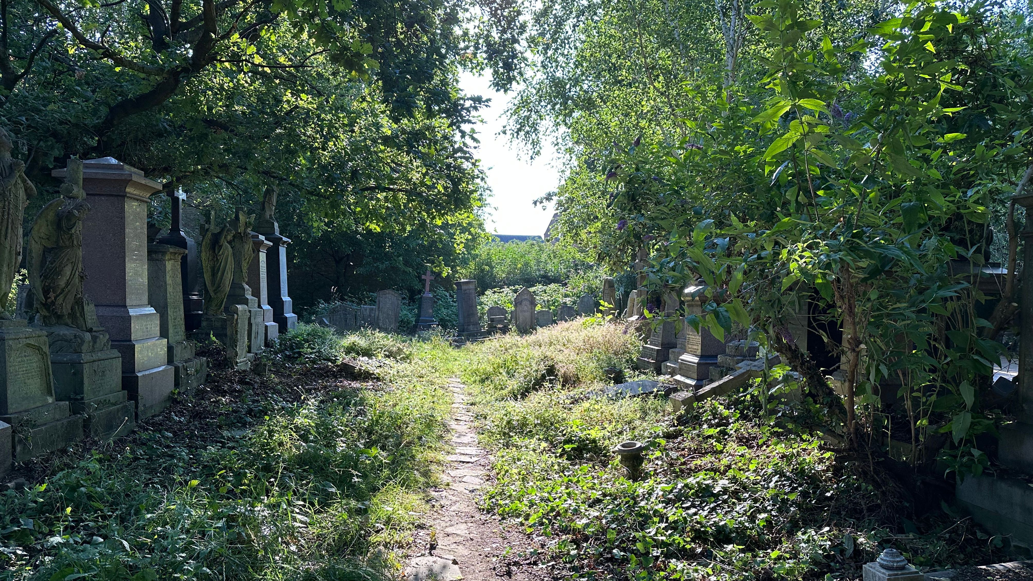 El cementerio de Abney Park, en Stoke Newingston, uno de los siete magníficos de Londres, convertido en bosque en el centro de la ciudad