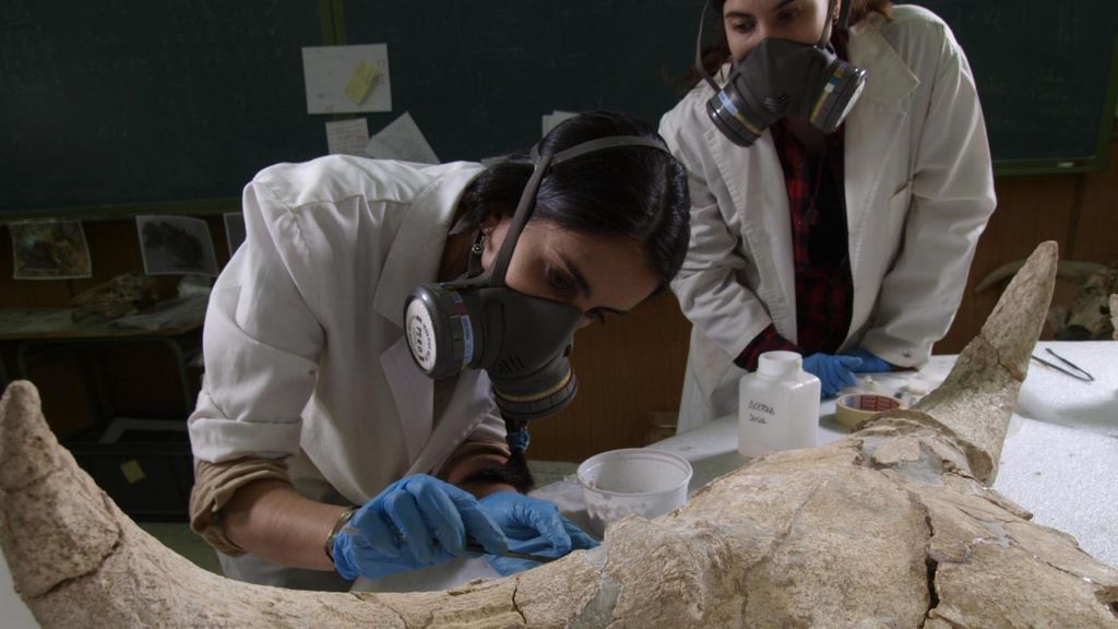 Arqueólogos analizan el conjunto de cráneos de la Cueva Des Cubierta