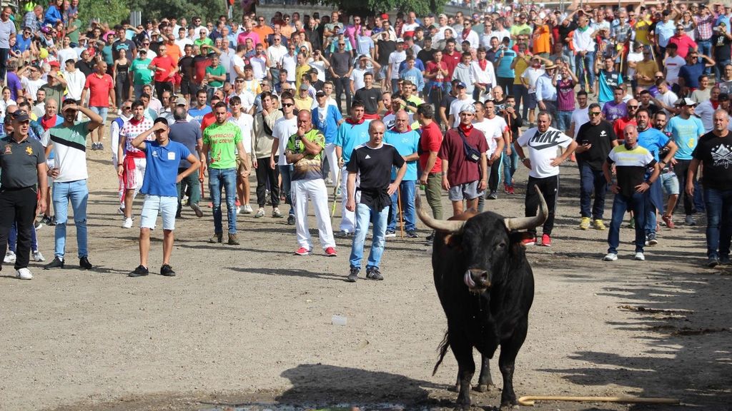 Las imágenes del peligroso encierro de El Toro de la Vega