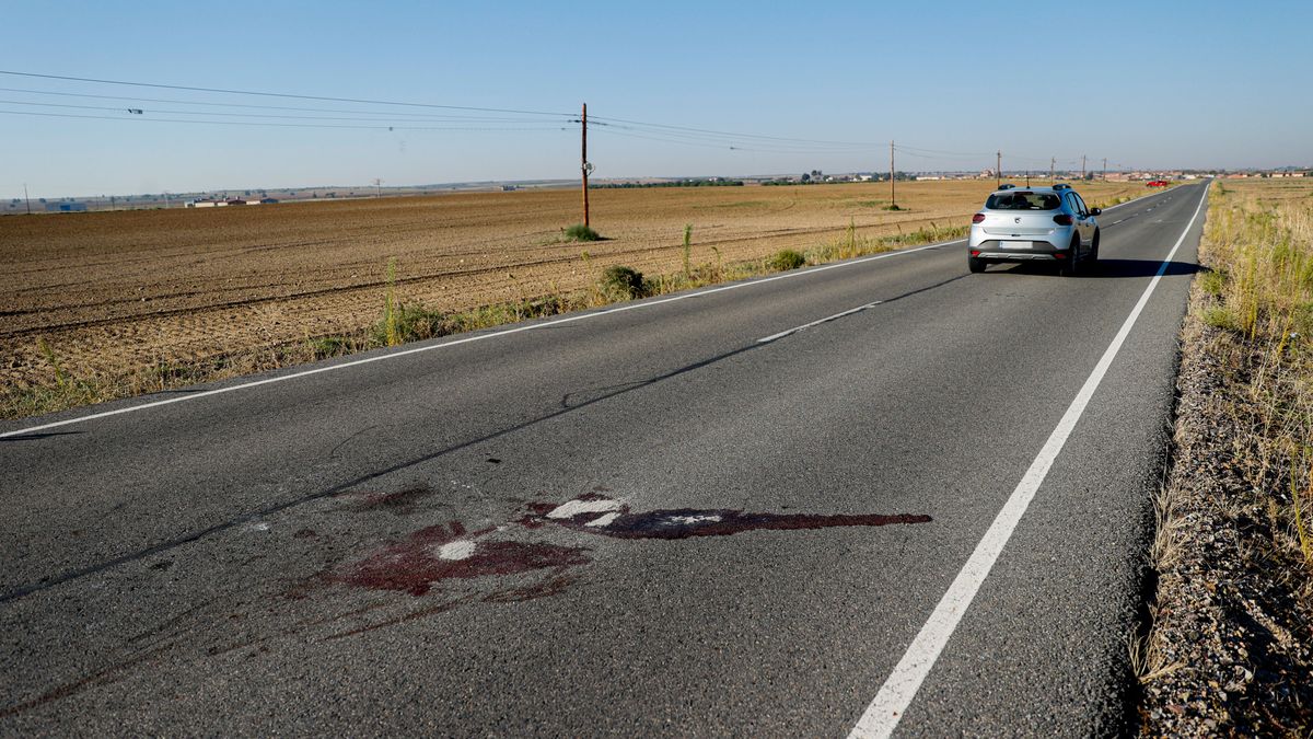 Confirman como violencia de género el atropello mortal de una mujer en Toledo: su marido, detenido