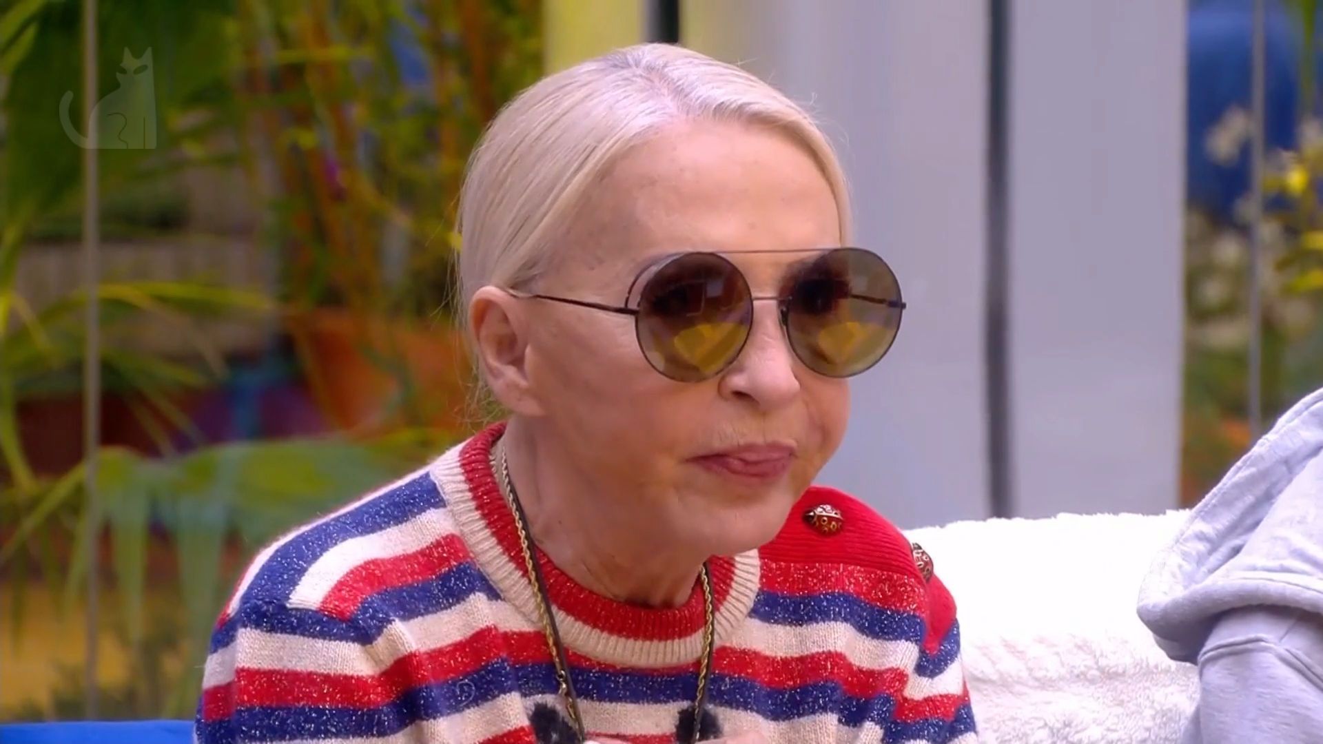 Moleskine del gato - GH VIP - 13