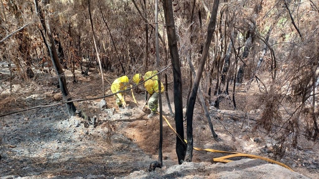 Brigadas Forestales del Cabildo de Tenerife intervienen en las labores de extinción del incendio declarado el pasado agosto en la isla