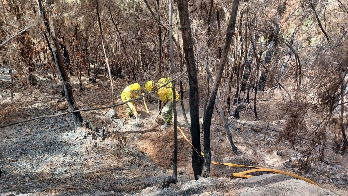 Brigadas Forestales del Cabildo de Tenerife intervienen en las labores de extinción del incendio declarado el pasado agosto en la isla