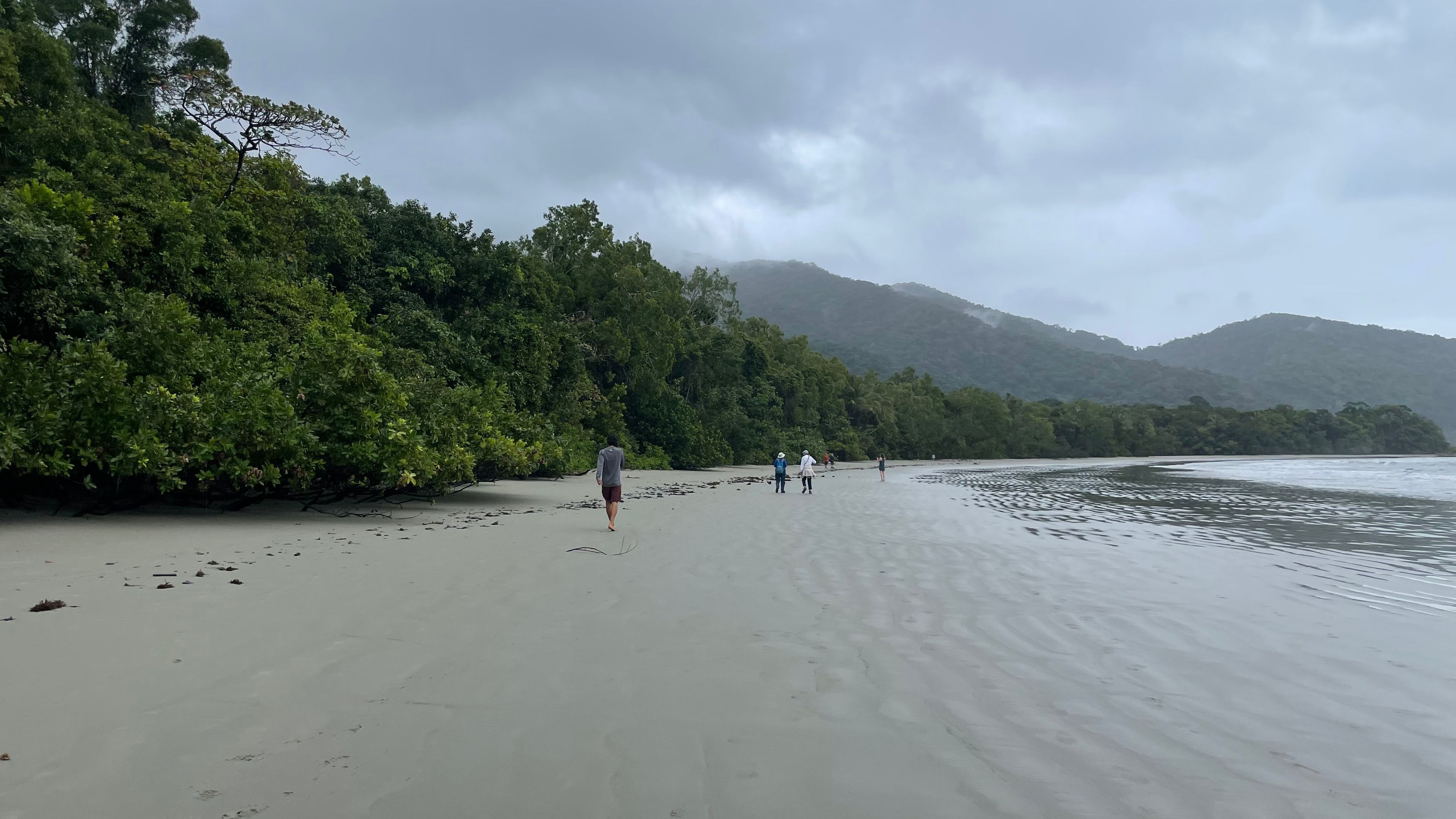 La selva tropical de Daintree