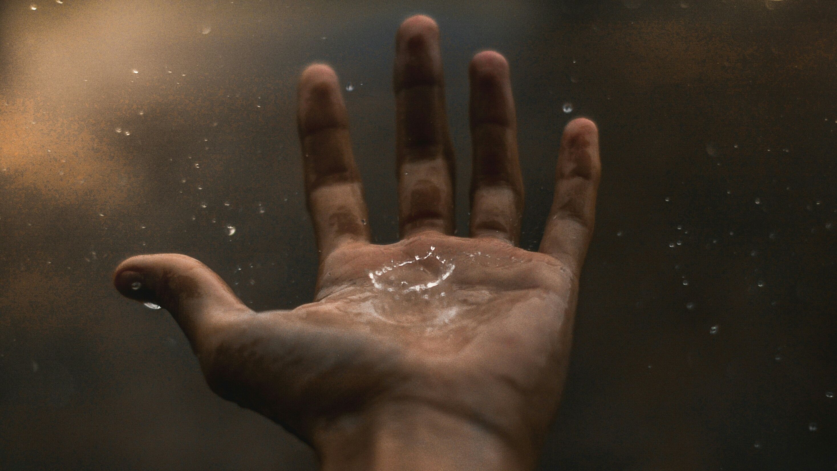 pexels fabiano rodrigues 2290328