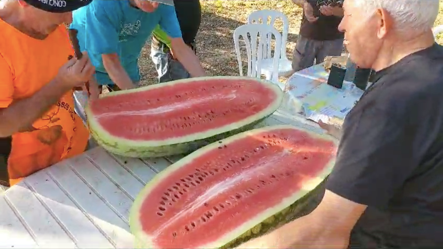 Sandía de 75,5 kilos de Salvador