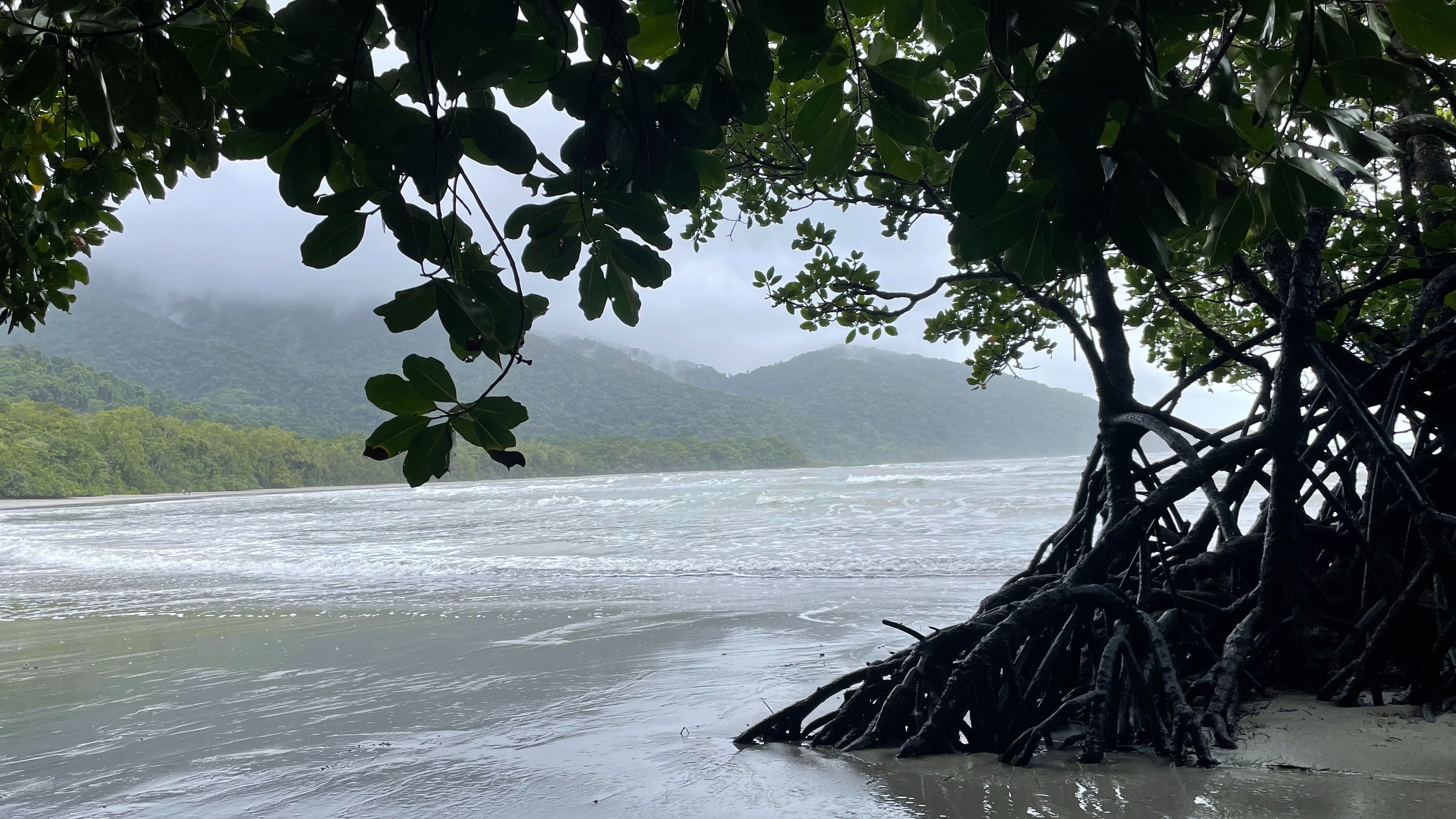 Vista del Parque australiano