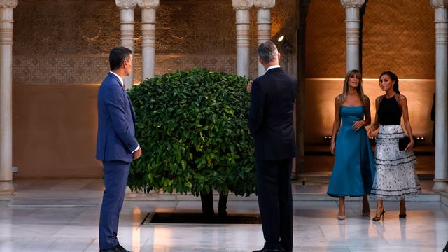 Un gato se cuela en la Alhambra en pleno encuentro de los reyes con los ...