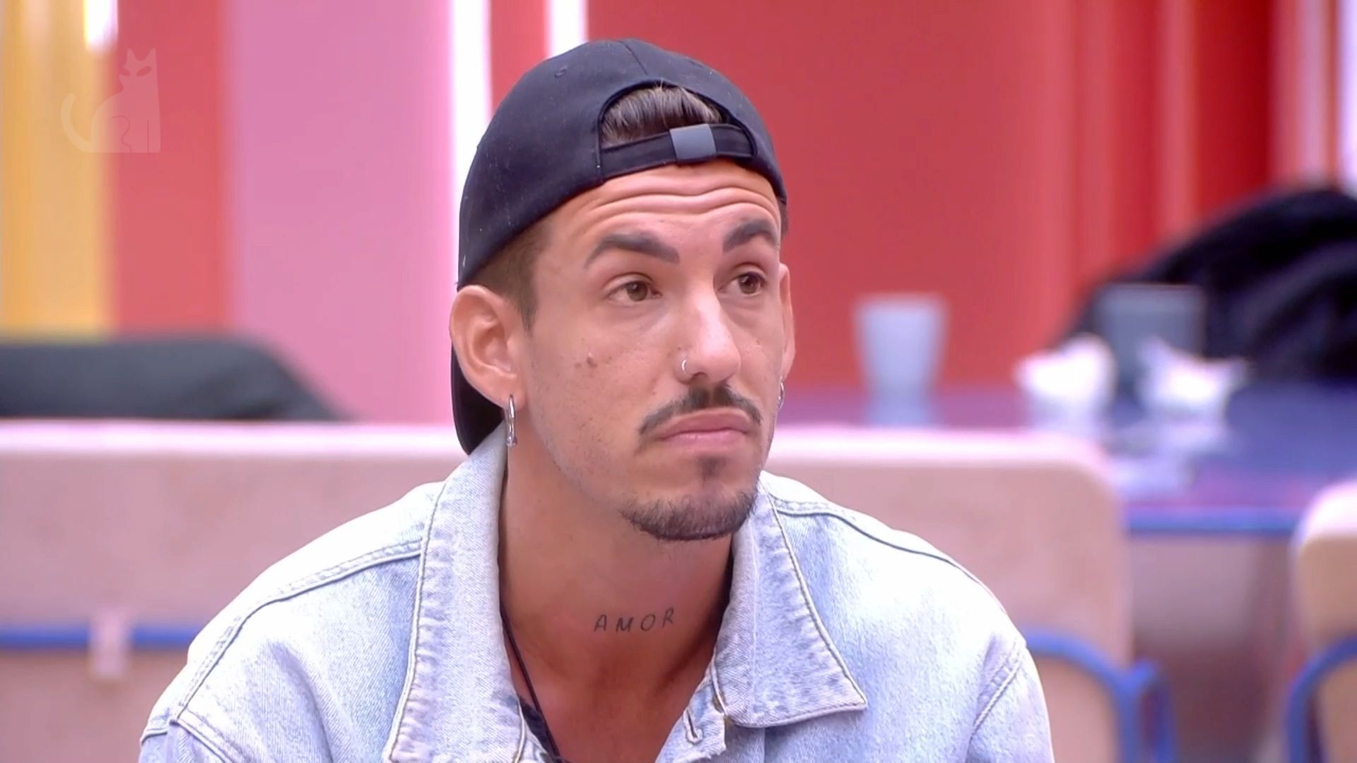 Moleskine del gato - GH VIP - 15