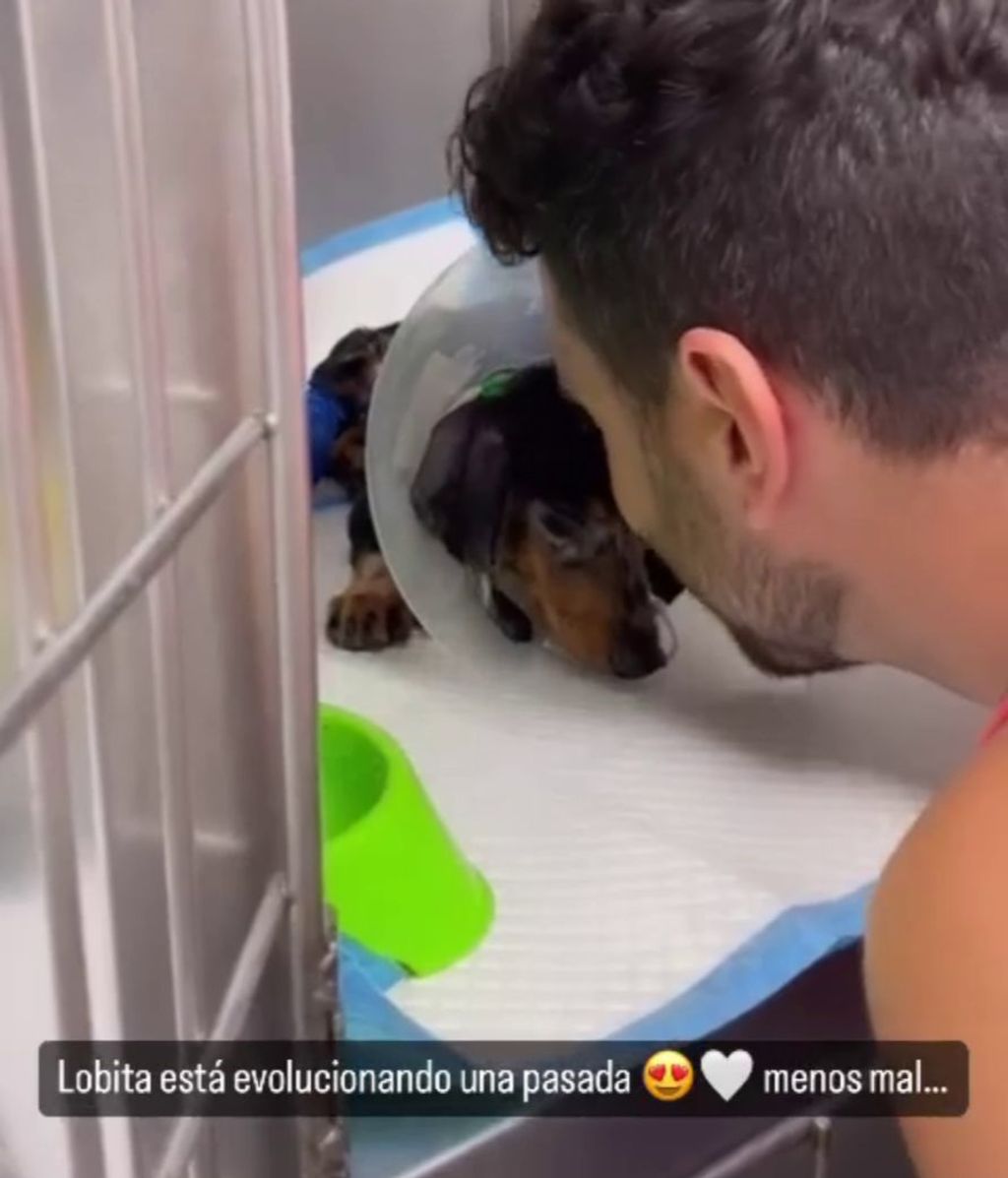 Suso Álvarez acude cada día a ver su mascota ingresada