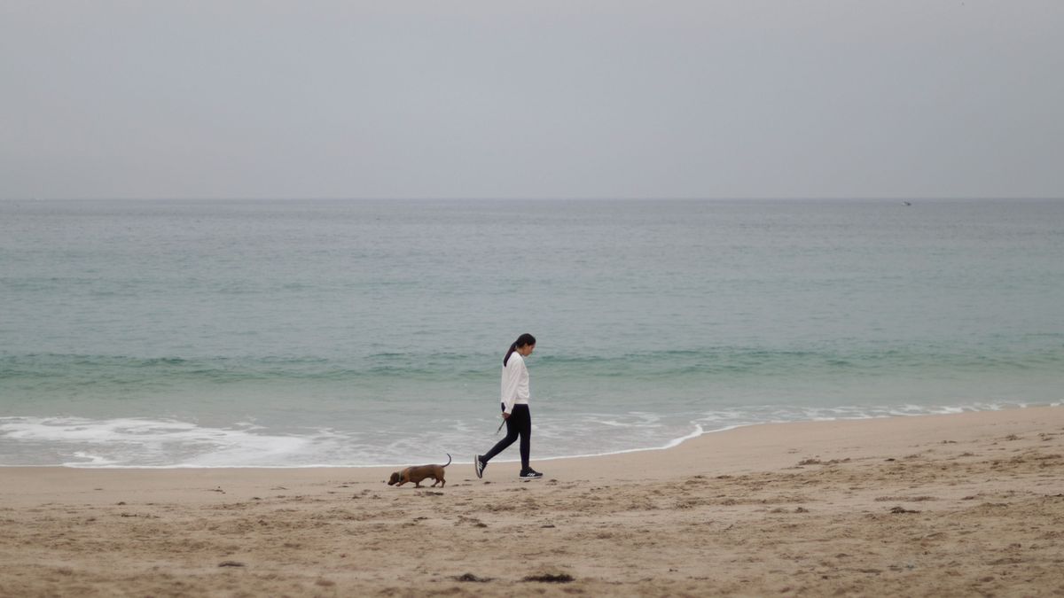 Una mujer y su perro paseaban este jueves por la playa del Orzán, en A Coruña