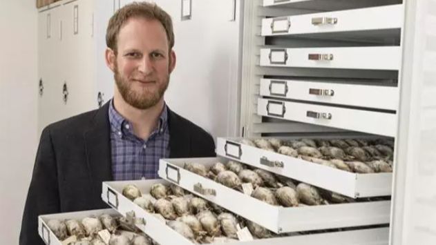 Casi 1.000 aves cantoras mueren al chocar contra las ventas de un museo en Chicago