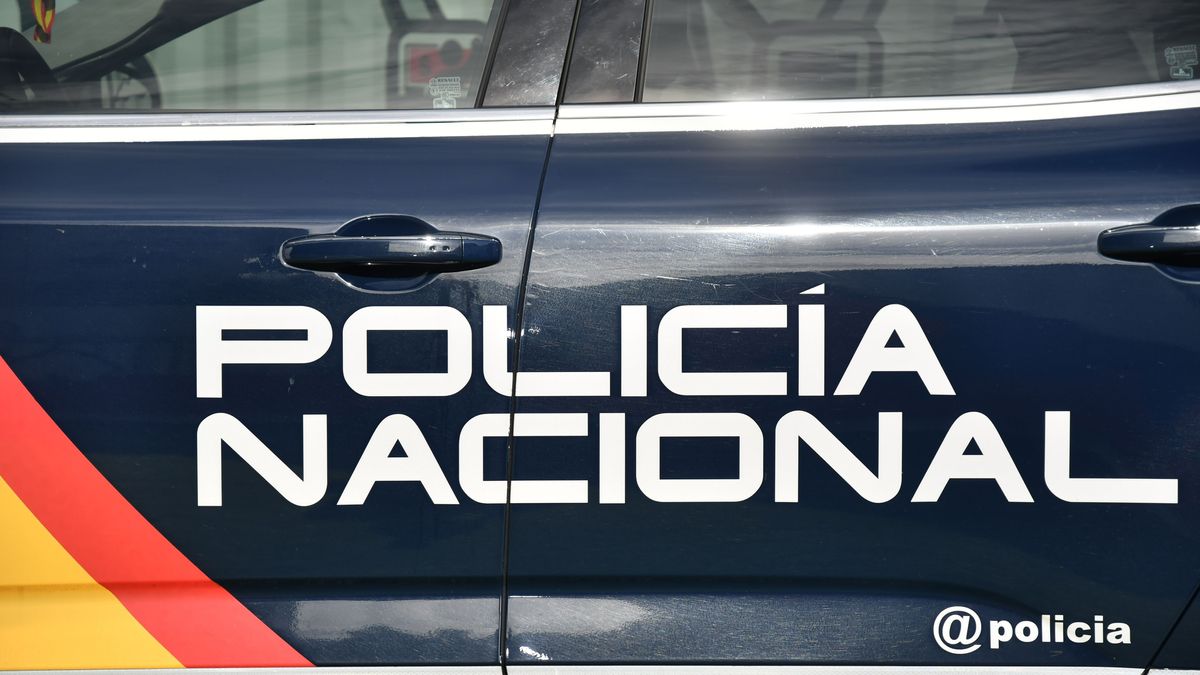 Detenido en Lugo un hombre por hacer tocamientos a menores disfrazado de personaje de la Patrulla Canina