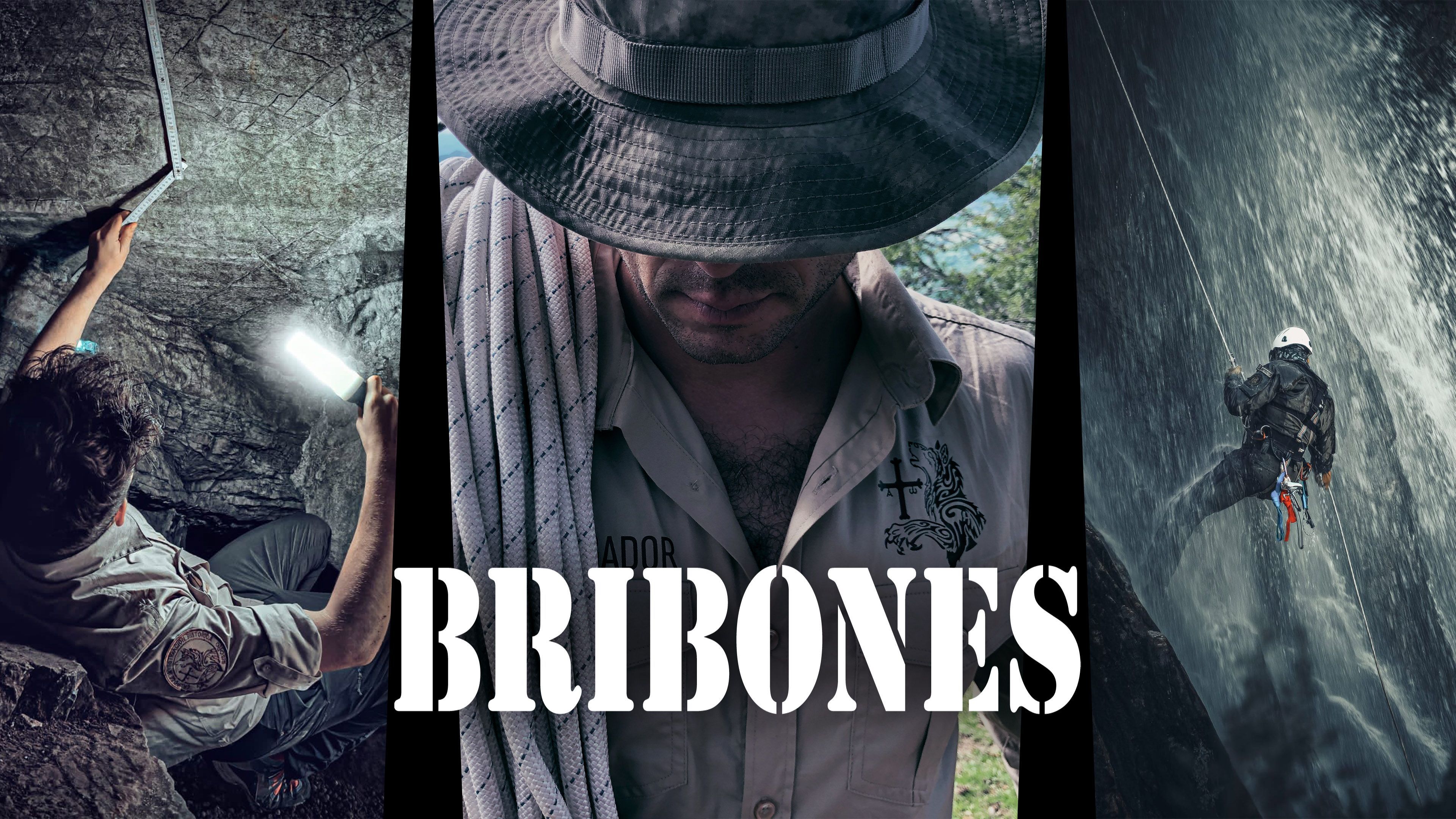 Bribones