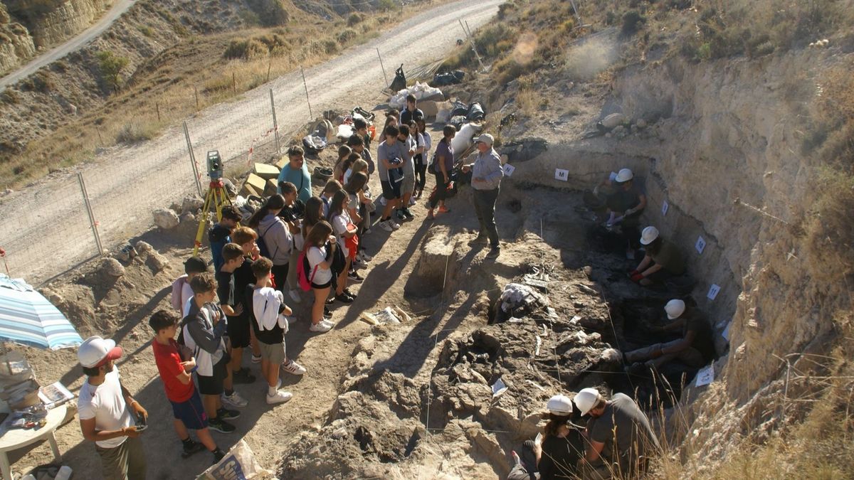 Descubren el último cocodrilo que vivió en Europa a través de un diente localizado en un yacimiento de Granada