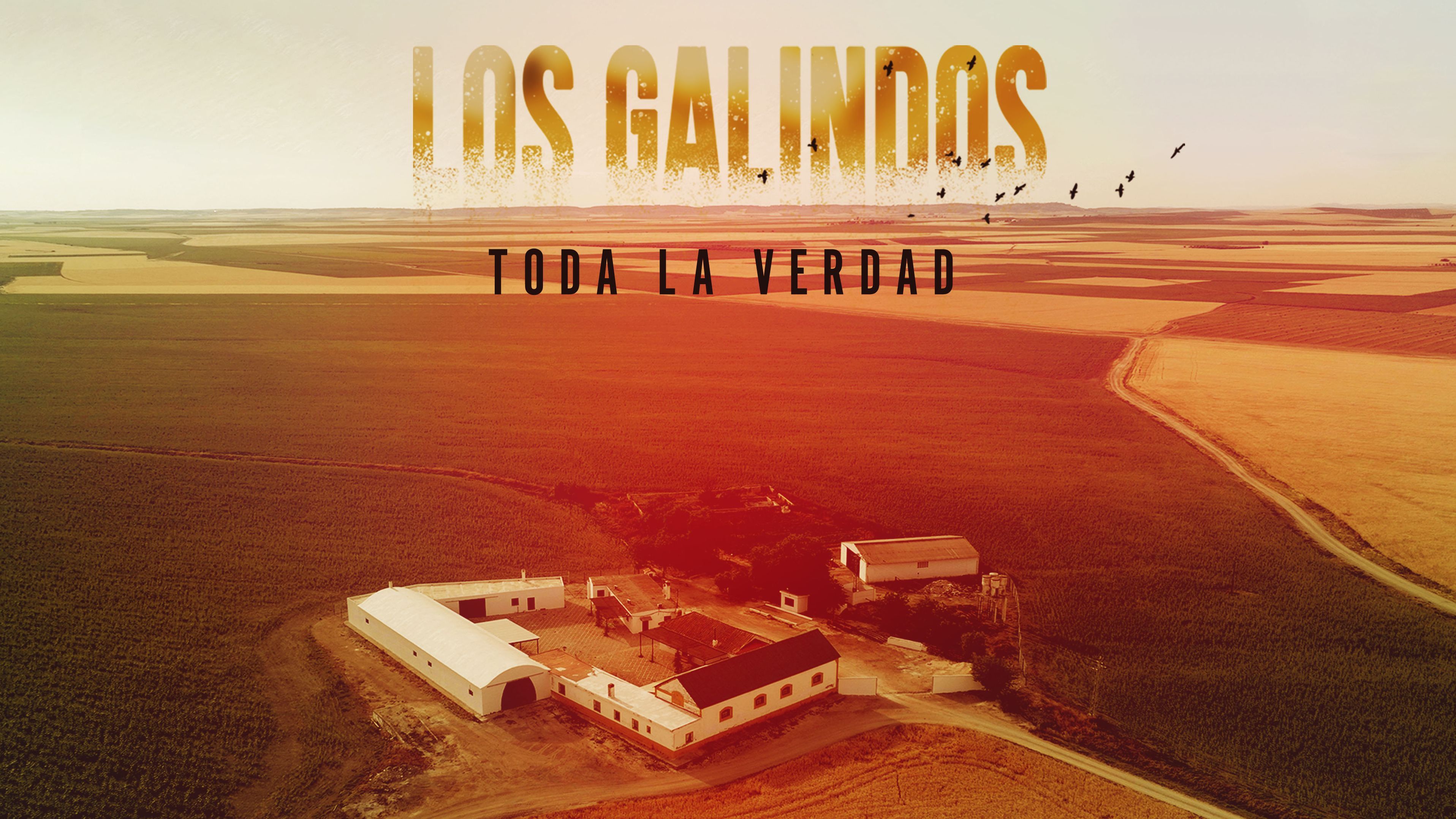 Los Galindos poster horiz
