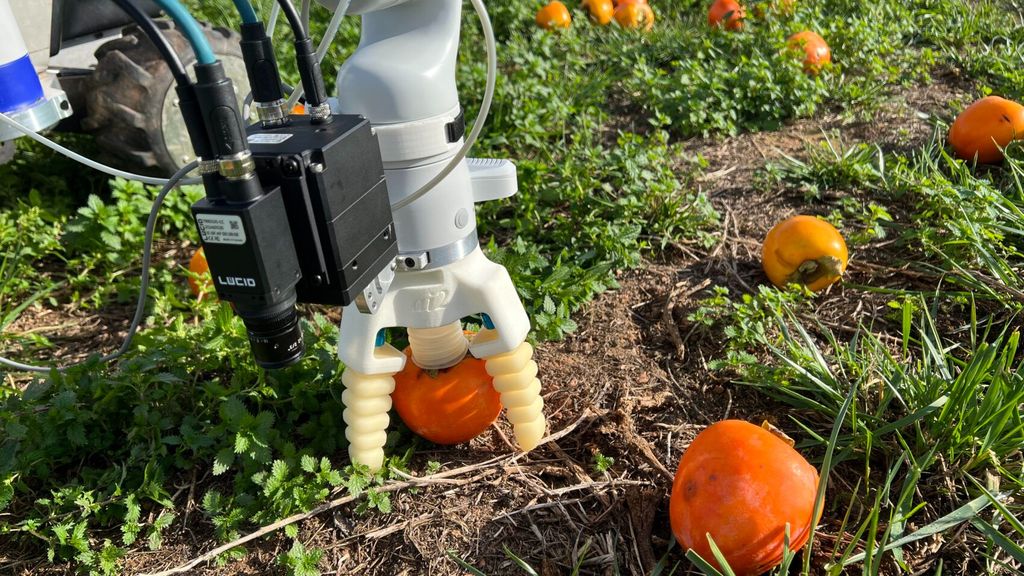 Ramonet, el robot valenciano que recolecta frutas del suelo para evitar su desperdicio gracias a la IA