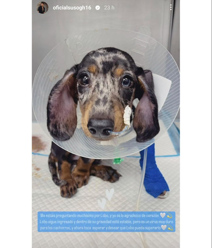 Suso ha estado muy preocupado por la evolución de su pequeño