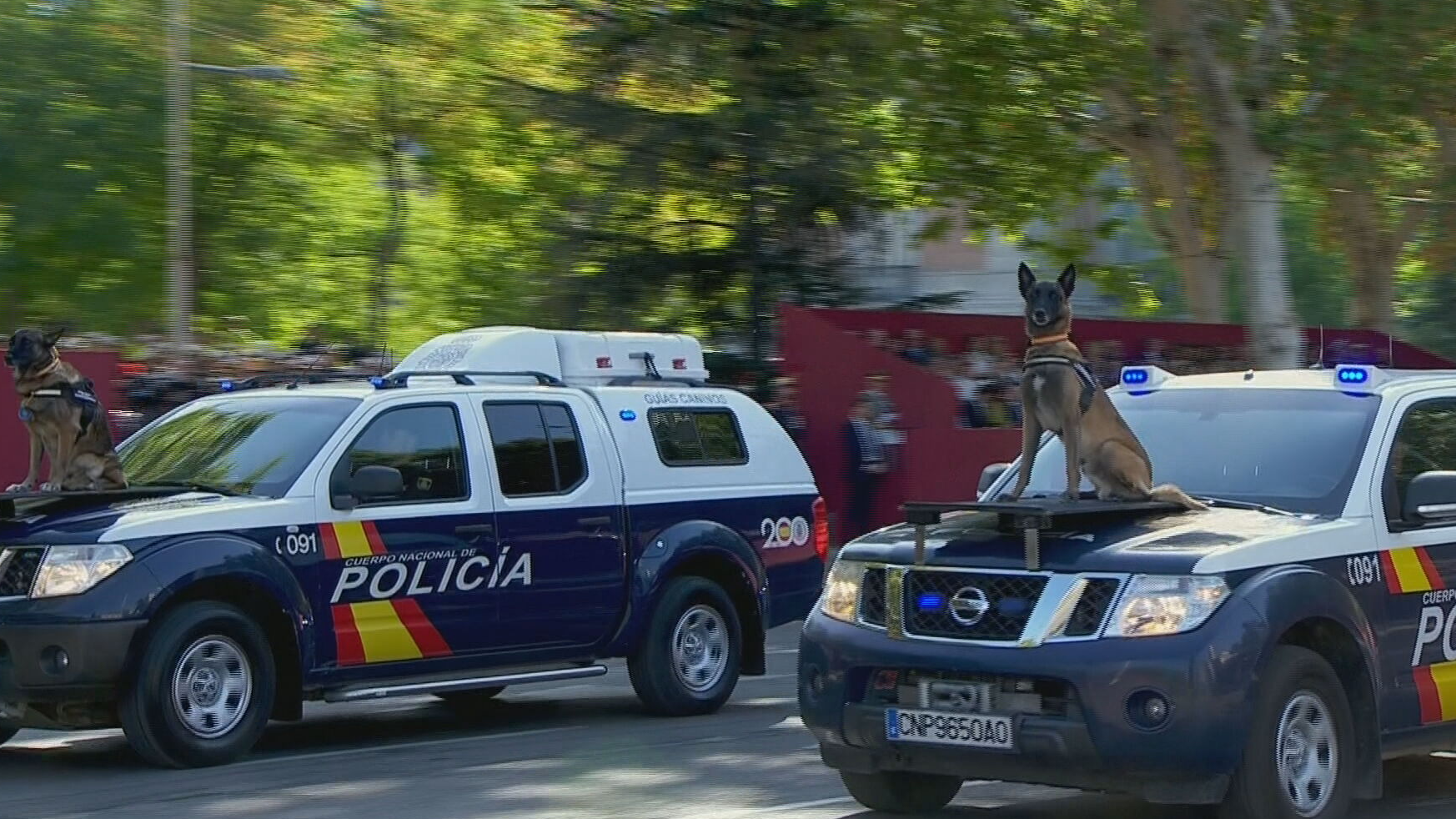 Ni la cabra ni los perros de la Policía Nacional faltan a desfile a pesar de las dudas por la Ley del bienestar animal