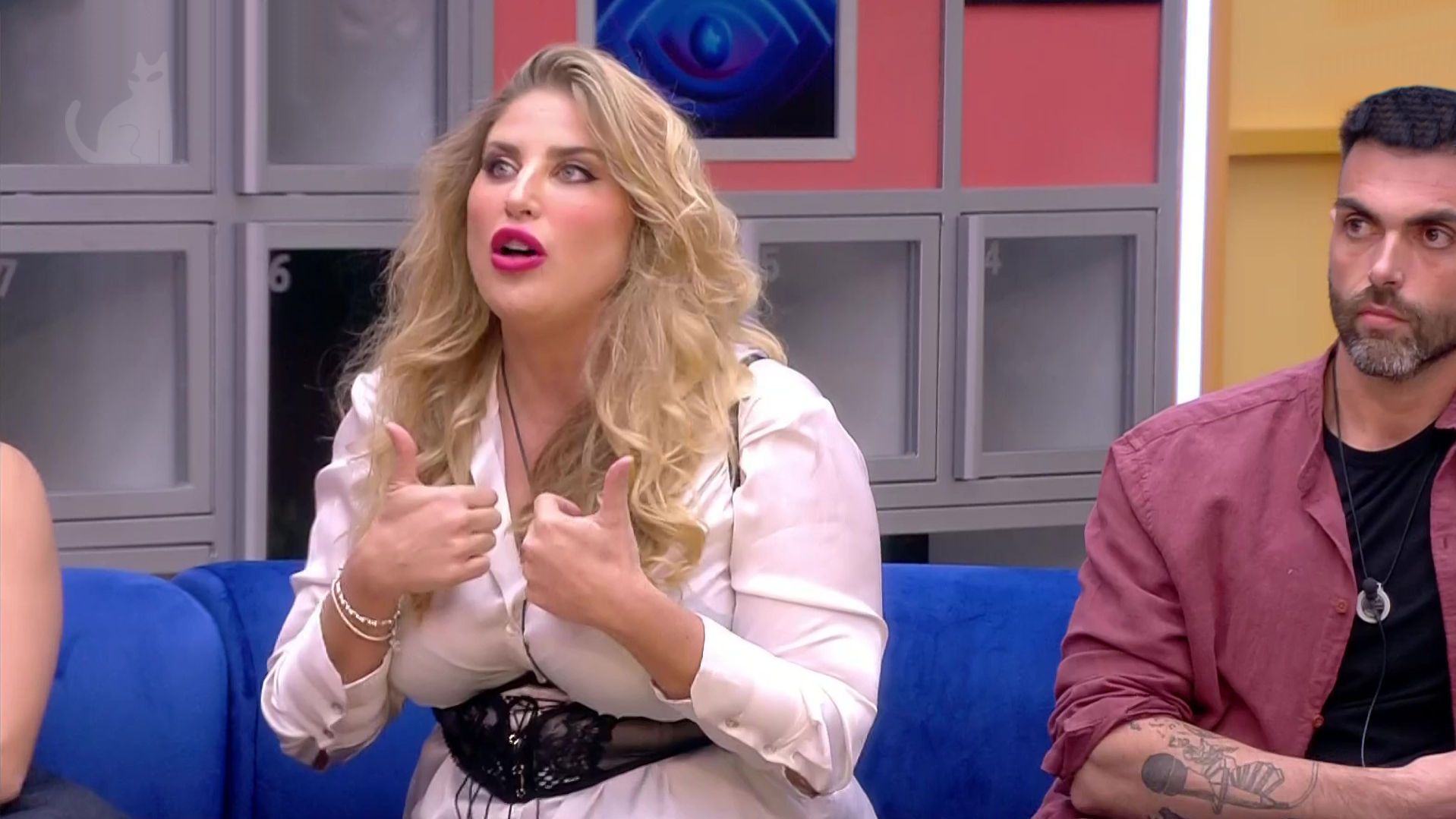 Moleskine del gato - GH VIP - 20