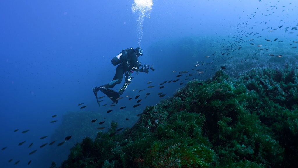 Un buzo de la Fundación Oceanogràfic bucea durante la Misión Skerki