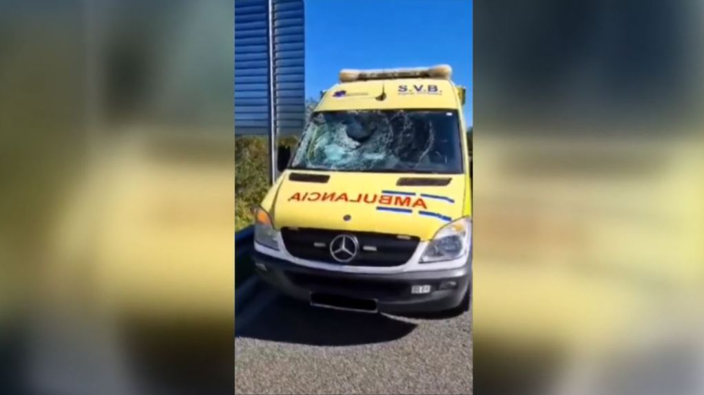 Un buitre rompe y atraviesa el cristal delantero de una ambulancia en Navarra