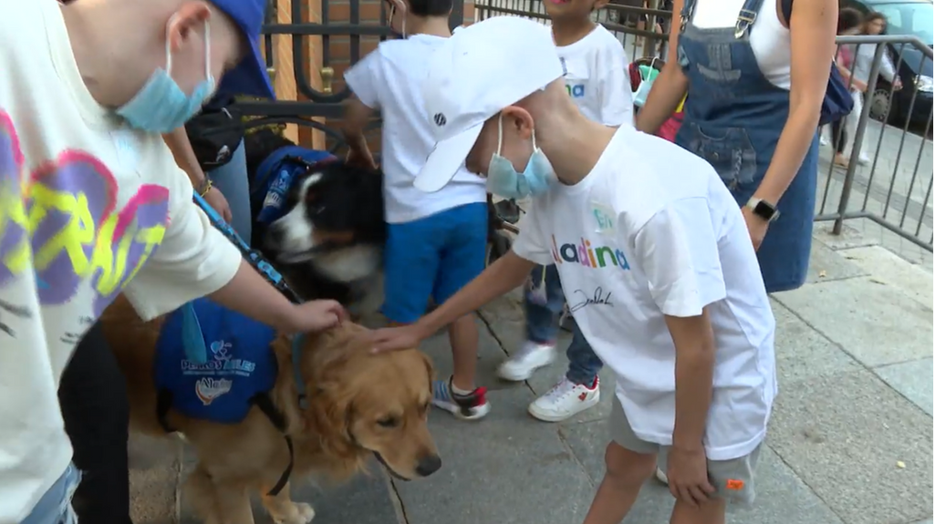 Terapia con perros para niños con cáncer: la emotiva iniciativa de la Fundación Aladina